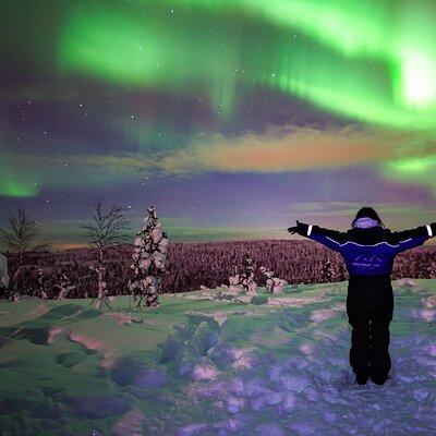 Northern Lights Wilderness Small-Group Tour from Rovaniemi 
