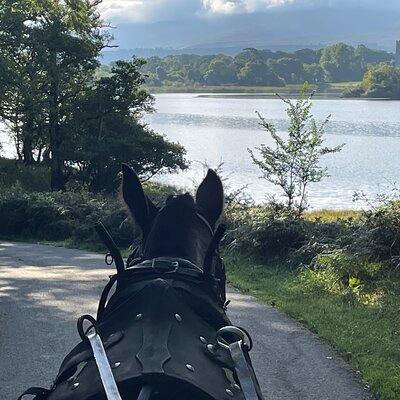 Horse-Drawn Carriage Tours in Killarney 