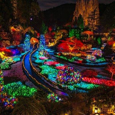 Magic of Christmas Butchart Gardens City Lights Private Tour