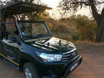 Kruger National Park Afternoon Sunset Safari Tour