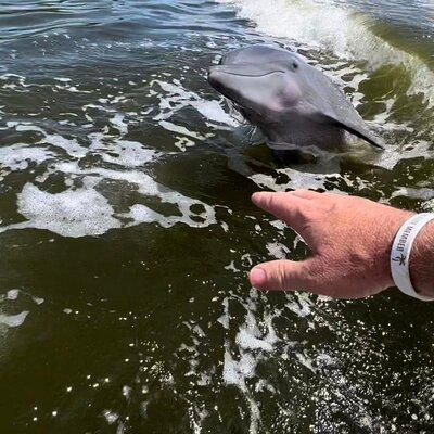 Boat Ride in 10,000 Islands + Biologist Led Walk in the Everglades Small Group 