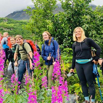 Seward Wilderness Hiking