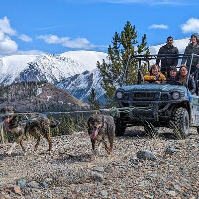 Summer Sled Dog Remote Yukon Camp & Summit Tour