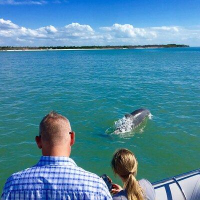 Dolphin and Shelling Cruise for up to 12 people