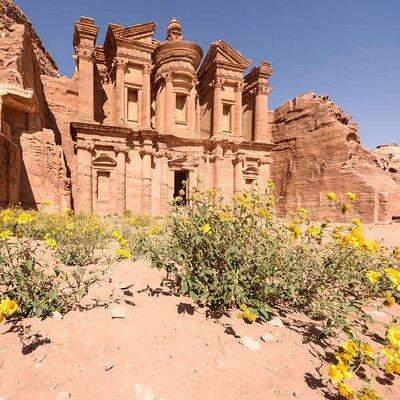 1 Day Tour to Petra From Eilat