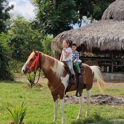 Horseback Riding tour near Santo Domingo with pick up and dropoff