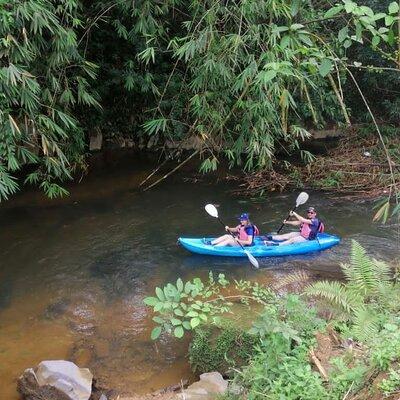 Semenggoh Orangutan with Rainforest Kayaking from Kuching