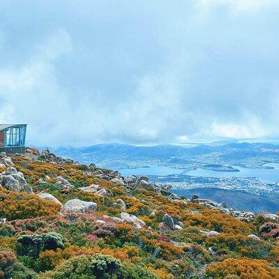 Shore Excursion-Hobart Wanderer