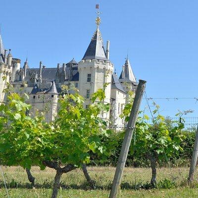 Loire Valley Wine Tour in Chinon & Bourgueil