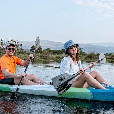 Mangrove Kayaking Tour