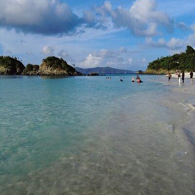 Budget Trunk Bay with Scenic Stops