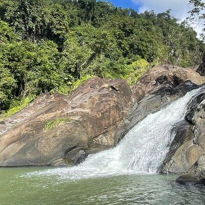Rainforest Adventure: Best Hidden Waterfall Tour