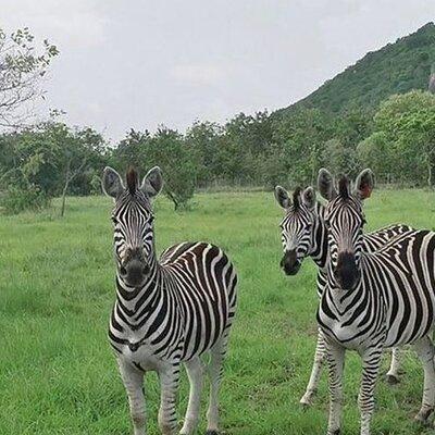 Shai Hills Half Day Accra Safari, Hike & see Animals 