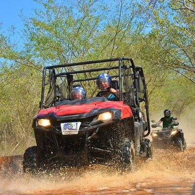 Jamwest ATV Tour to Salmon Point from Negril