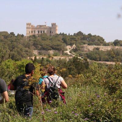 Buskett Woodlands and Dingli Cliffs Nature Walking Private Tour