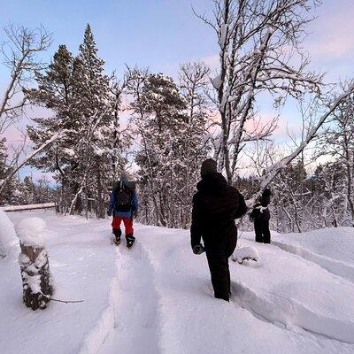 Snowshoe in a Winter Forest