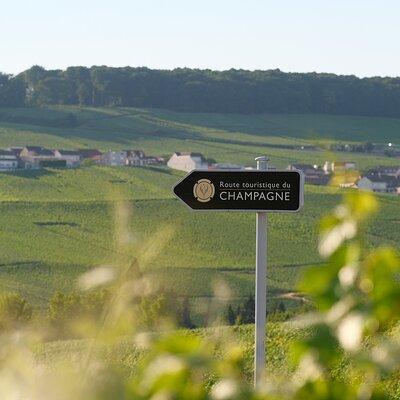 The Must-sees 3h30 from Epernay (Private Half day Champagne Tour)