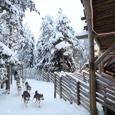 Santa Claus Village, Husky and Reindeers Combo Safari 