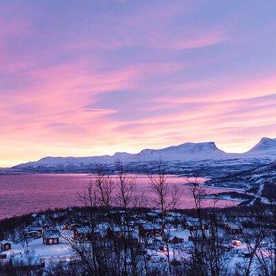 Half-Day Tour to Abisko From Kiruna: Morning hike