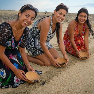 Baby Turtle Release Tour + Pick up + Courtesy in Puerto Escondido!