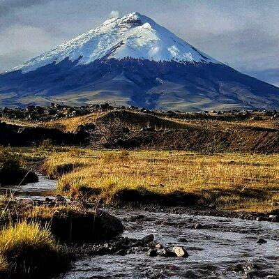 Private Cotopaxi Volcano Hike With Horseback Riding for Beginners