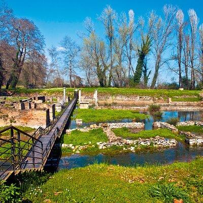 Private Tour to Dion From Volos