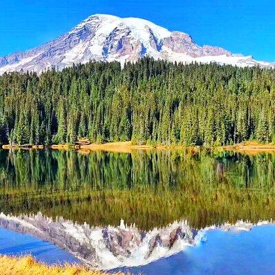 Small Group Mt Rainier National Park Day Tour from Seattle 2CanGo