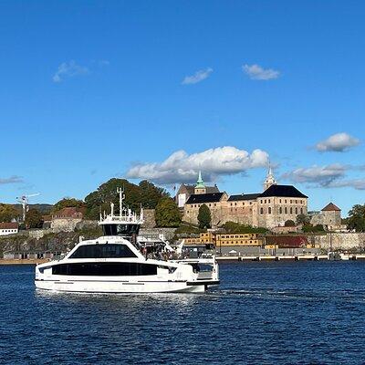 Oslo City Highlights with Fjord Cruise 