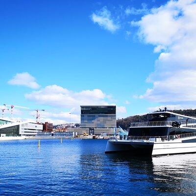 Oslo Combo Tour: Grand City Tour and Oslo Fjord Cruise