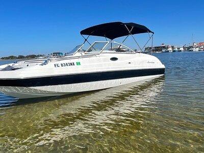 Private Boat and Dolphin Watching in Florida