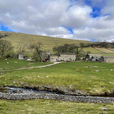 Herriot and Yorkshire Dales Day Trip from York