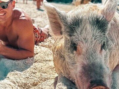  Iguanas , Sharks & Swimming Pigs Exuma Private Tour (8hrs)