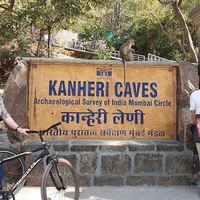 Sanjay Gandhi National Park(SGNP) + Kenheri Caves + Lion Safari + Jain Temple