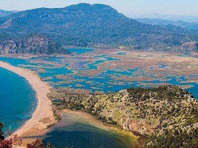 Bodrum Turtle Beach Tour With Mud Baths & King Tombs