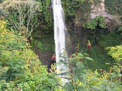 Jakarta Bogor Botanical Garden, Waterfall and Rice terrace, Lunch