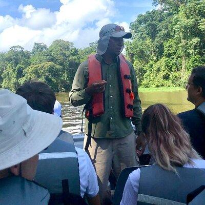 Canoe Boat Tour in Tortuguero Canal