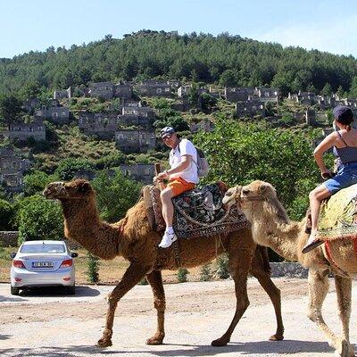 Fethiye Camel Riding at Gosht Town 