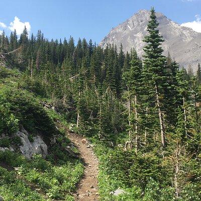 Paget Lookout and Sherbrooke Lake