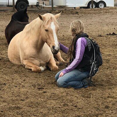 1.5 Hours Private Meditations with the Horses in Oregon