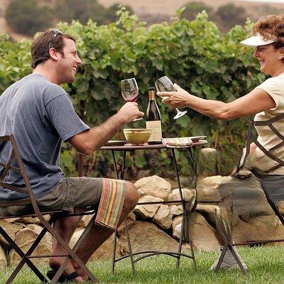  Solvang Santa Ynez Valley Small Group All-Inclusive Wine Tour 