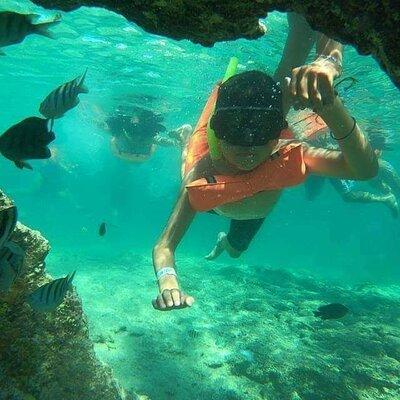 Snorkeling in Isla Mujeres and Underwater Museum