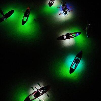 Night Mangroves LED Tour on a Glass Bottom Kayak