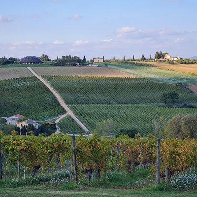 Umbria Wine Lovers Tour l Montefalco & Bevagna l Small group Tour