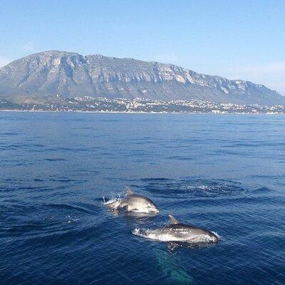 Catamaran ride with aperitif and white wine from Denia