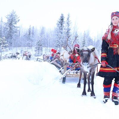 Aurora Hunting with Reindeer Caravan