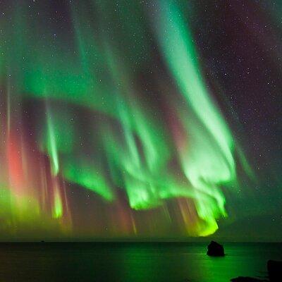 #1 Northern Lights Tour In Iceland from Reykjavik with PRO photos