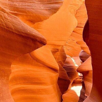 Lower Antelope Canyon LV and Yellowstone 6-day Tour|Los Angeles