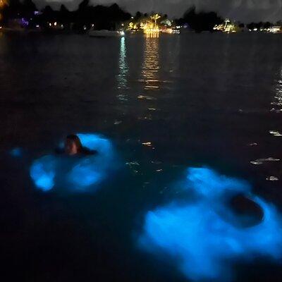 Private: Bioluminescence Tour