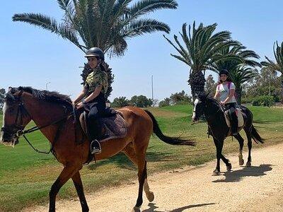 Horseback riding with private transfer