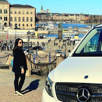 Private Stockholm City Tour by VIP car Vasa and Skansen museum